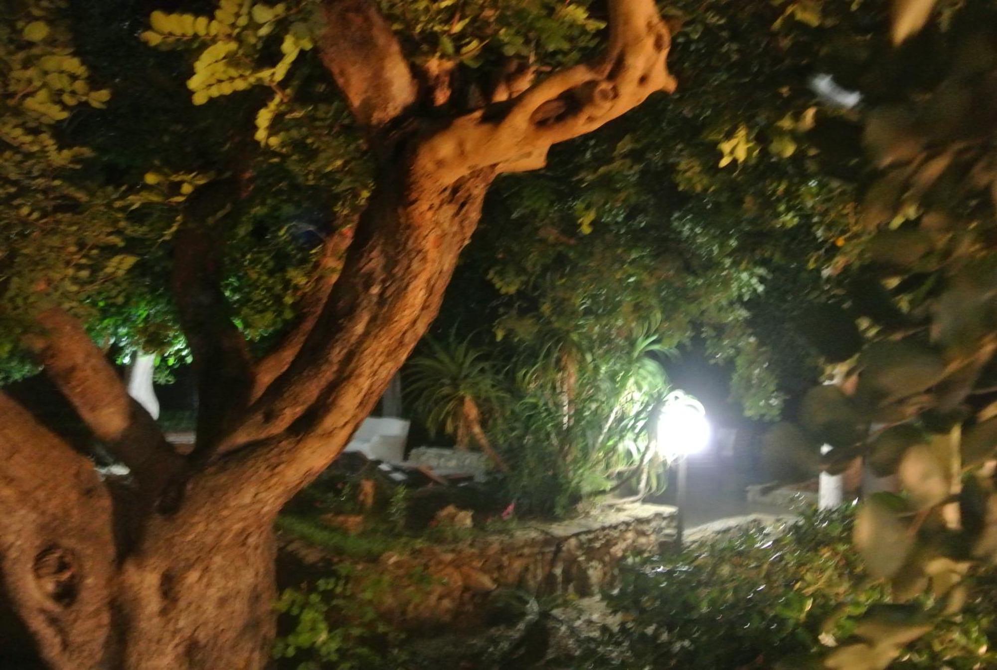 סן לאונה Villa Carlotta Resort מראה חיצוני תמונה