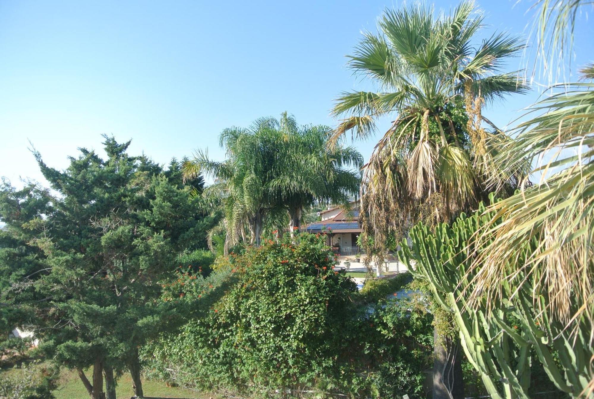 סן לאונה Villa Carlotta Resort מראה חיצוני תמונה